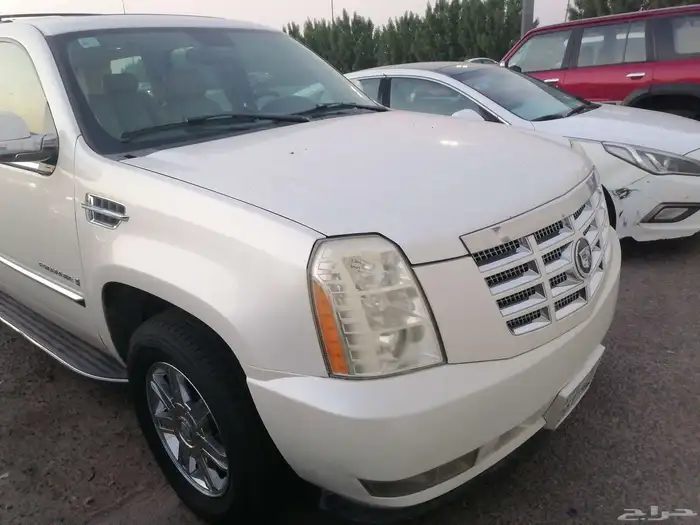 كدلك سكاليد 3