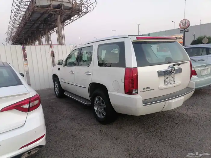 كدلك سكاليد 0