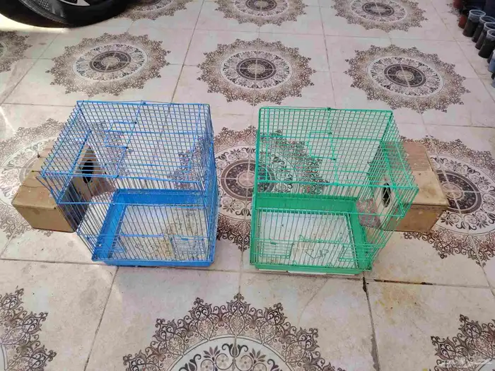 شبوك طيور العدد 4 4