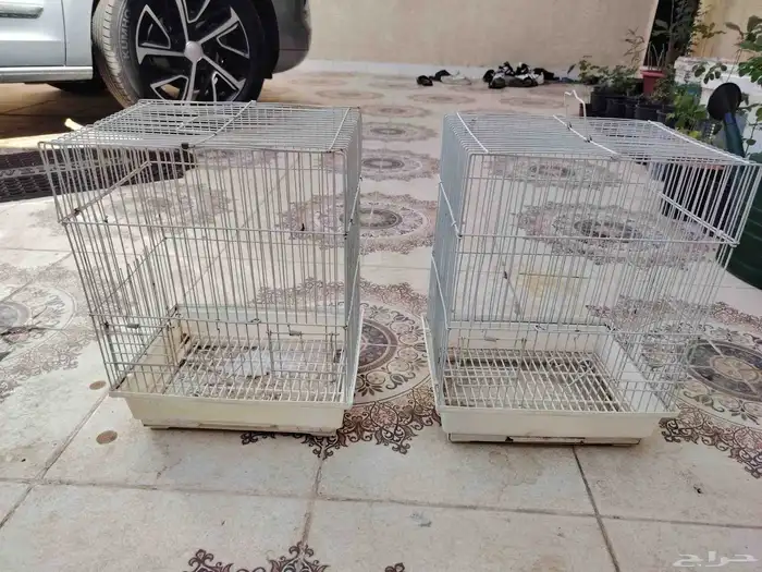 شبوك طيور العدد 4 2