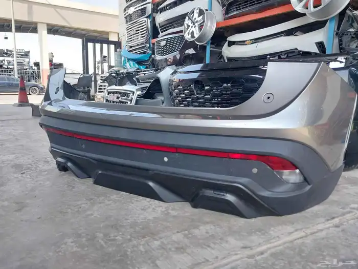 صدام فاضي كابتفيا 2023 0