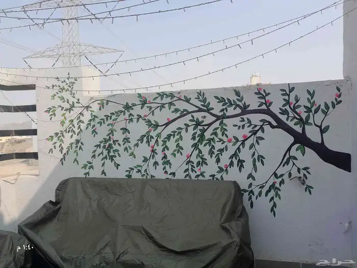 رسام جدران جدة 5