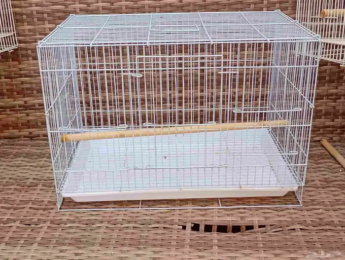 مستلزمات طيور 1