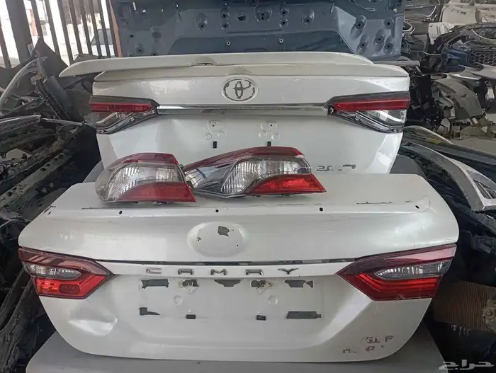 جيب لاندكروزر و كامري 2