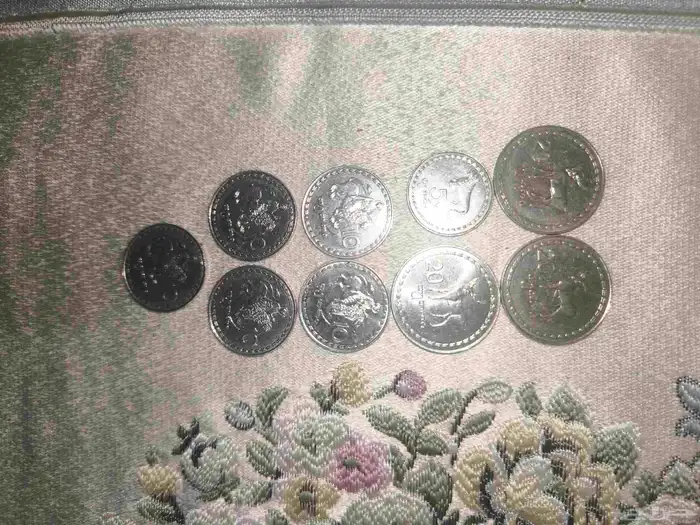 عملات نقدية متنوعة 31