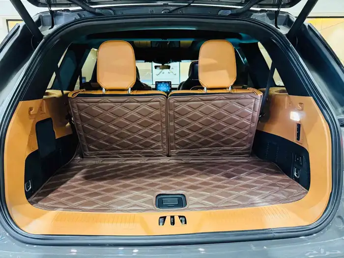 لنكولن افياتور 2020 فل كامل نظيف جدا 16