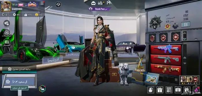 حساب ببجي للبيع لفل 88 0