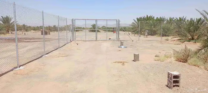 شبوك مزارع 5