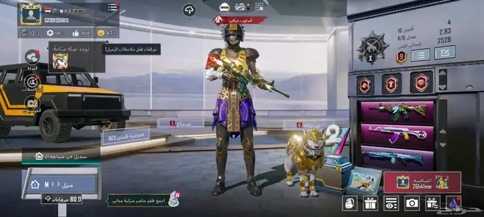 حساب ببجي للبيع مستعجل بسعر مناسب 3