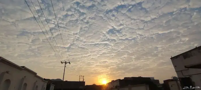 هونر اكس 9 بي 12