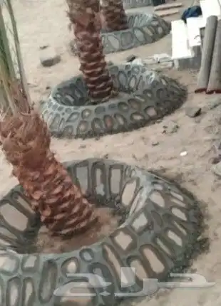 تكحيل جداران مبروز وعايدي وممرات ومرافي خميس مشيط 0