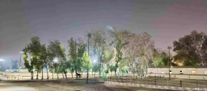 15 غرفة متوفرة للإيواء أو الإيجار 1