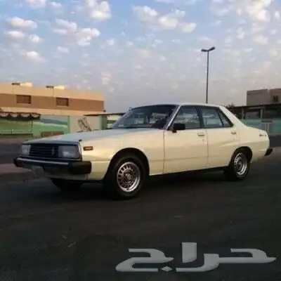 مطلوب مطلوب مطلوب نيسان جيتي 80-81 2