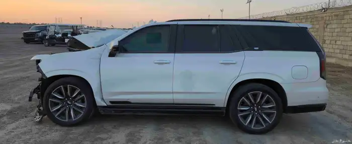 كاديلاك اسكاليد 2023 مصدوم 1