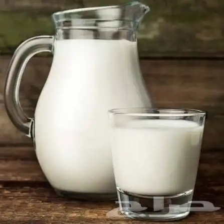 حليب بقر في أشيقر 2