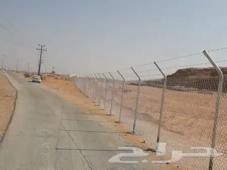 نخل للبيع وتركيب شبوك بانواعها 6