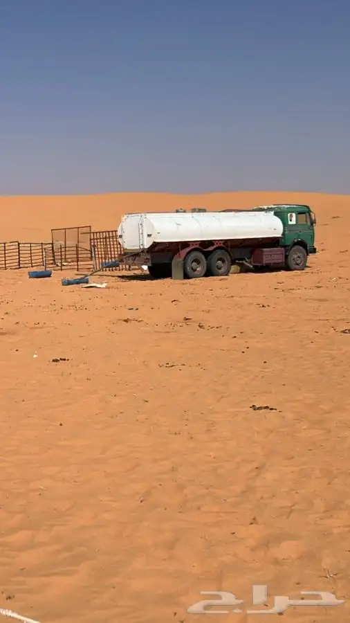 سقس وايت اللبي عشره روس مسقط على جميع الشروط 0