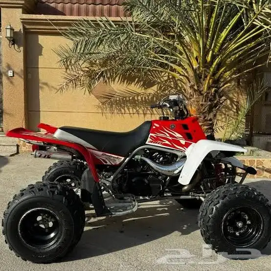 مطلوب بانشي 0