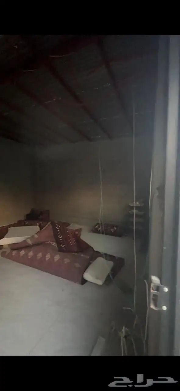 للتقبيل حوشين أغنام بسوق الدمام المركزي 2