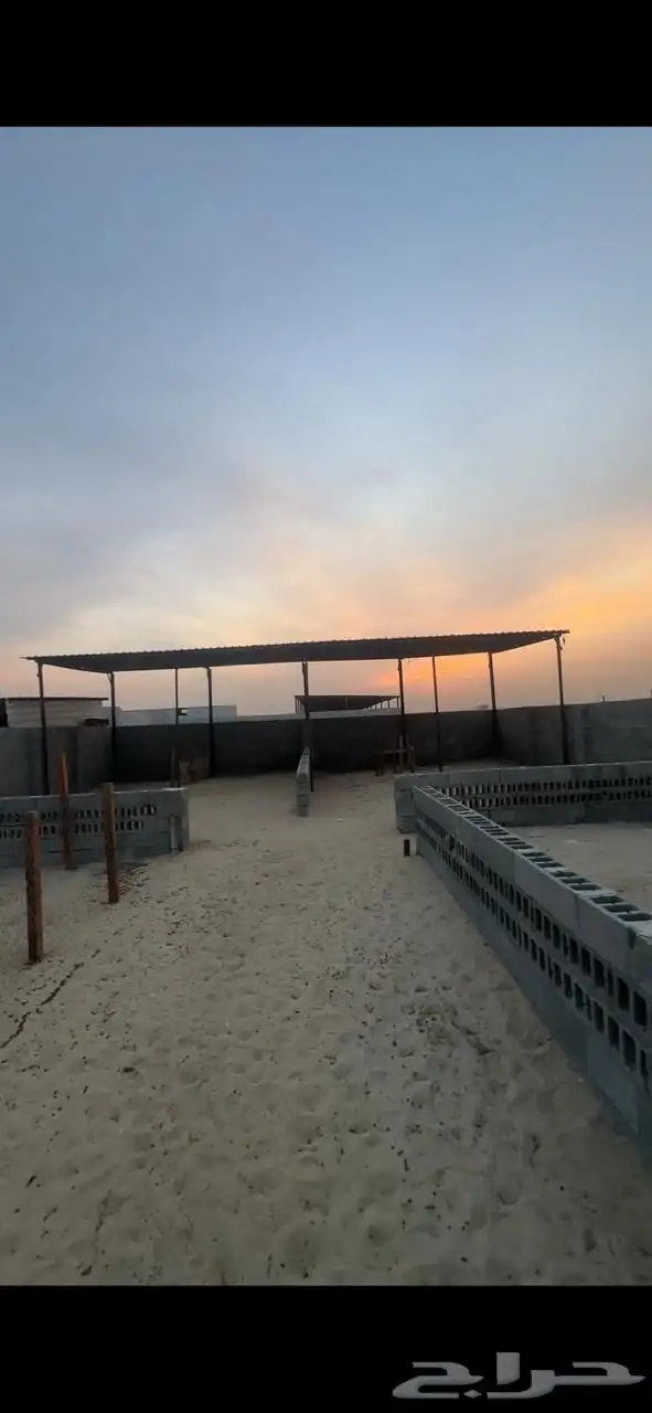 للتقبيل حوشين أغنام بسوق الدمام المركزي 0