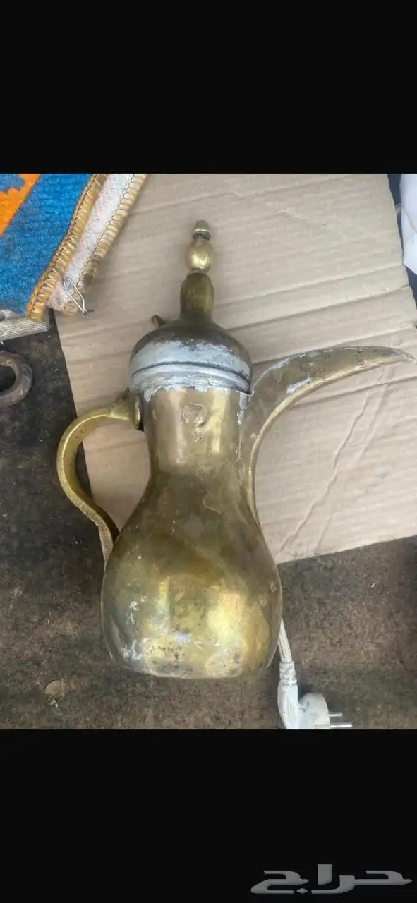 دله للبيع مربوبه وجاهزه 1