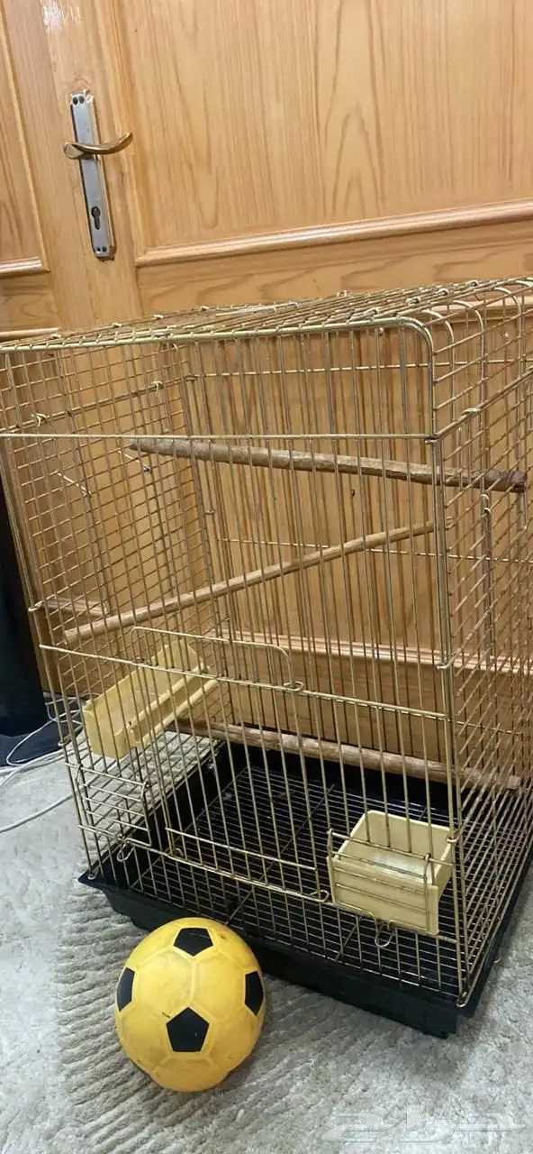 قفص طيور ذهبي بحالة ممتازة 0