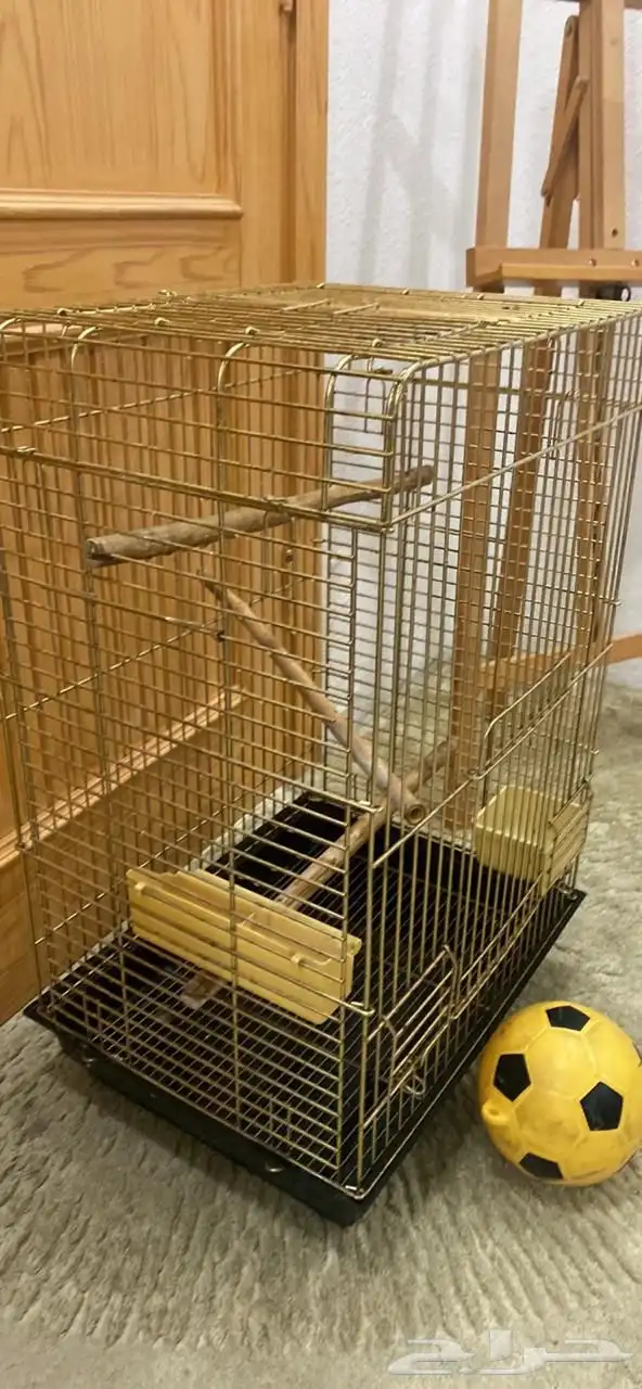 قفص طيور ذهبي بحالة ممتازة 1