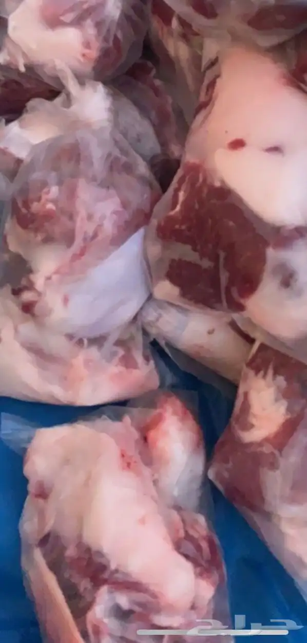 ذبايح الرس 10