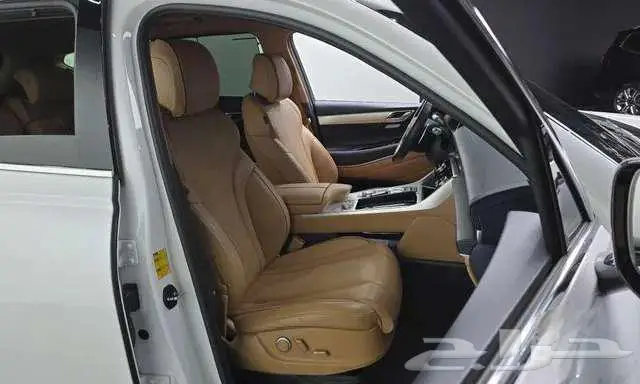 جنسيس - Gv80 - 2021 10