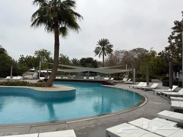 ديكورات لؤلؤ الشرق 18