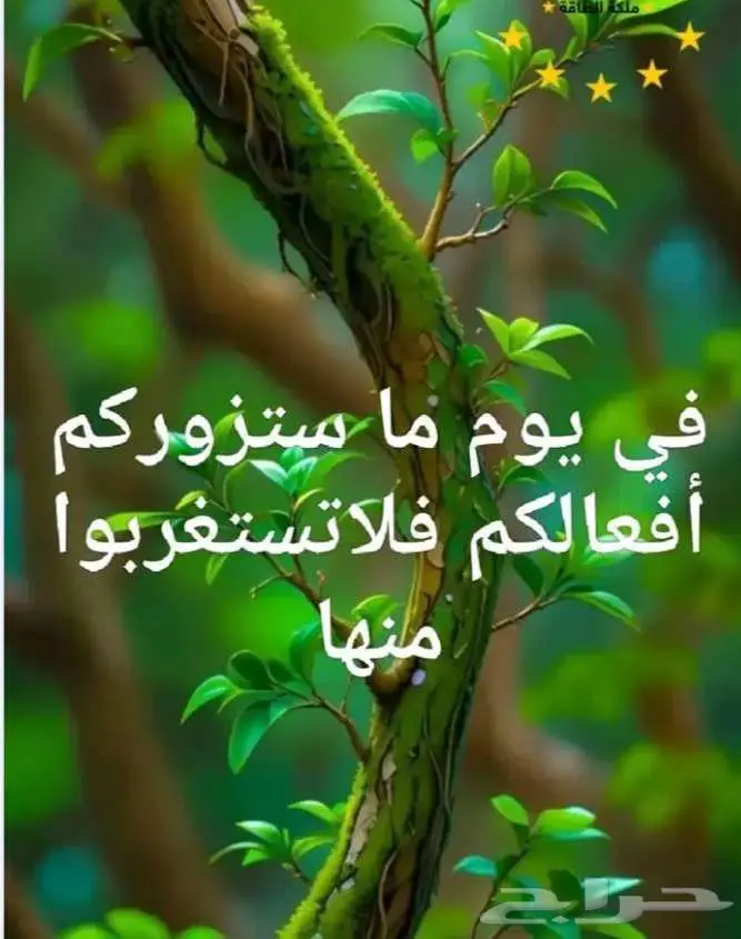 معلمة تأسيس ينبع البحر 0