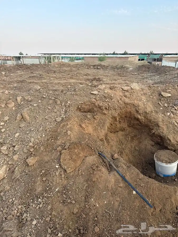 سماد عضوي ( اغنام ) 1