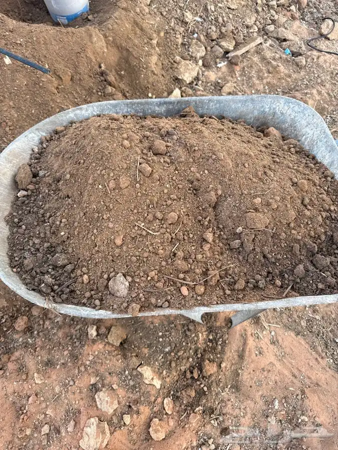 سماد عضوي ( اغنام ) 2