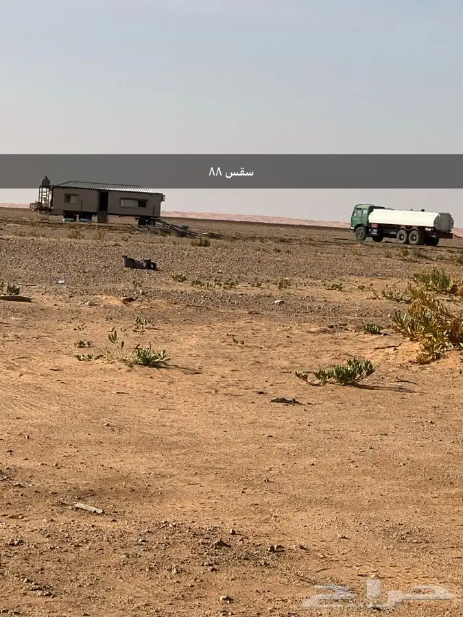 سقس وايت اللبي عشره روس مسقط على جميع الشروط 1