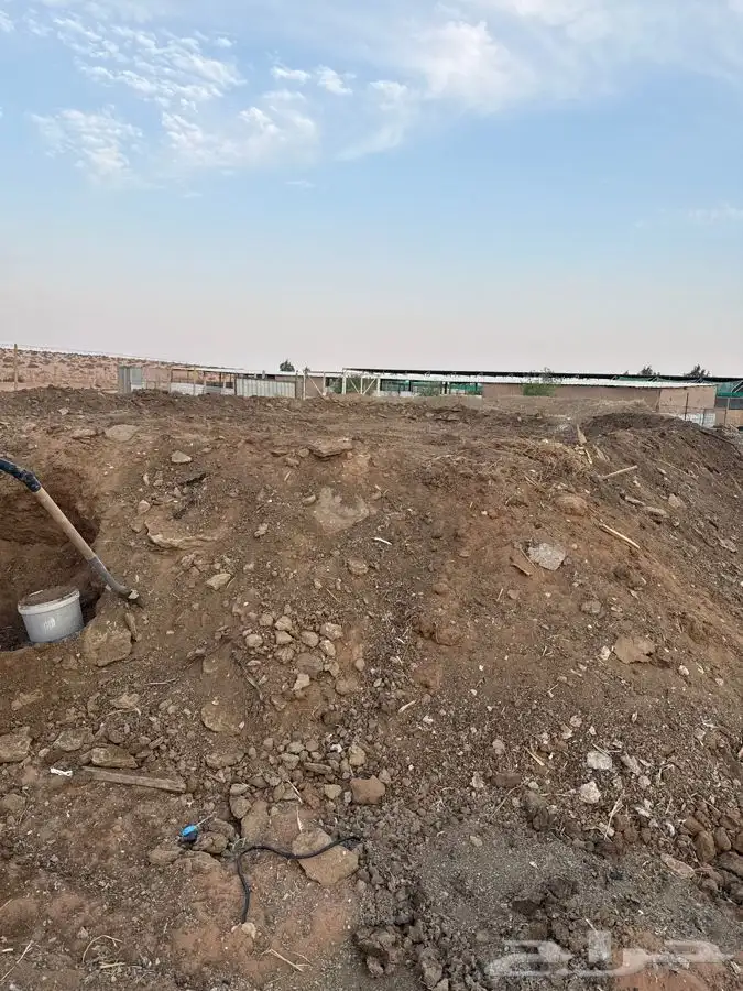 سماد عضوي ( اغنام ) 0