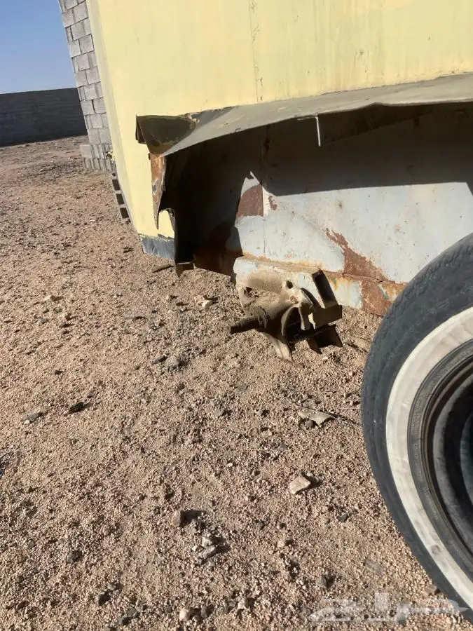 عربت خيل ل البيع 3