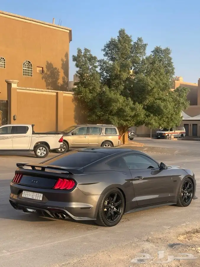 موستنج GT قير عادي 12