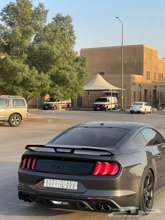 موستنج GT قير عادي 10