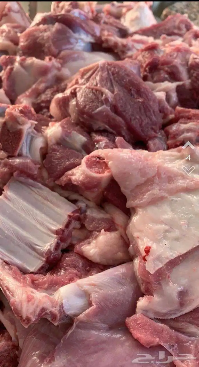 ذبايح الرس 6