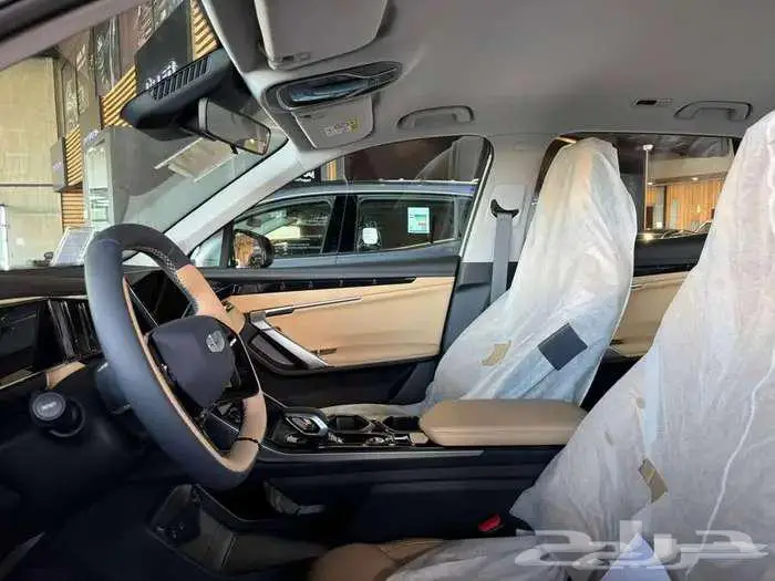 جيلي ستار راي 2024 3