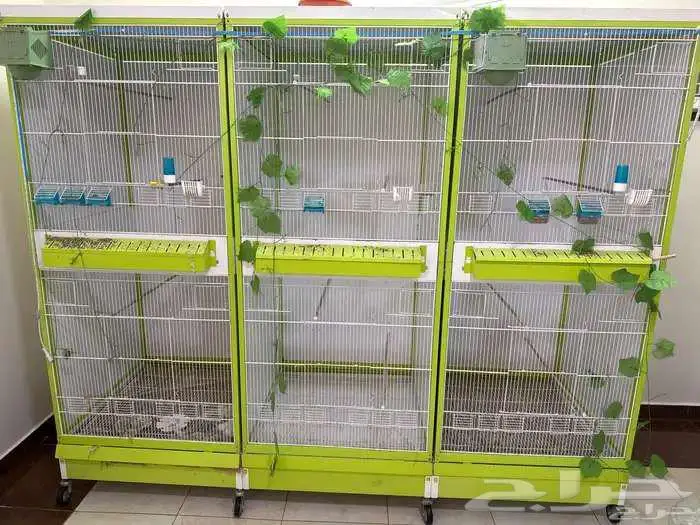 اقفاص طيور كبيرة مطايير للمختلف انواع الطيور 0