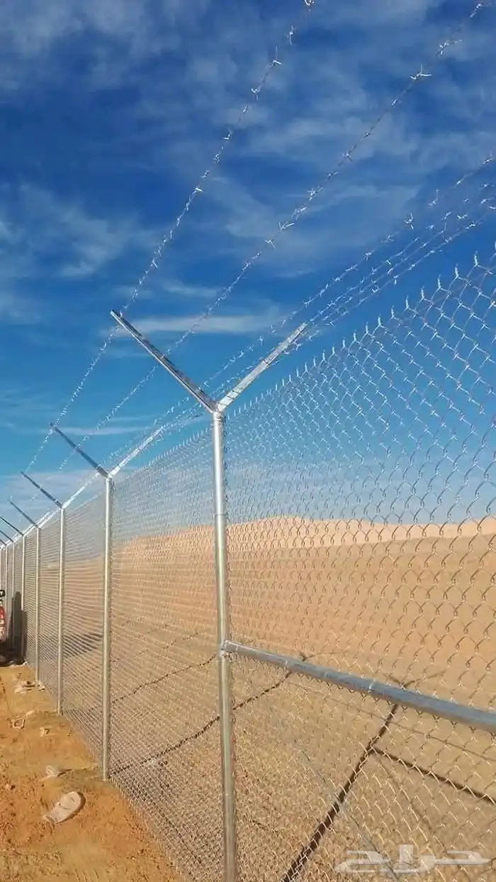 يوجد لدينا توريد جميع انواع شبوك ونخل شينكو 4