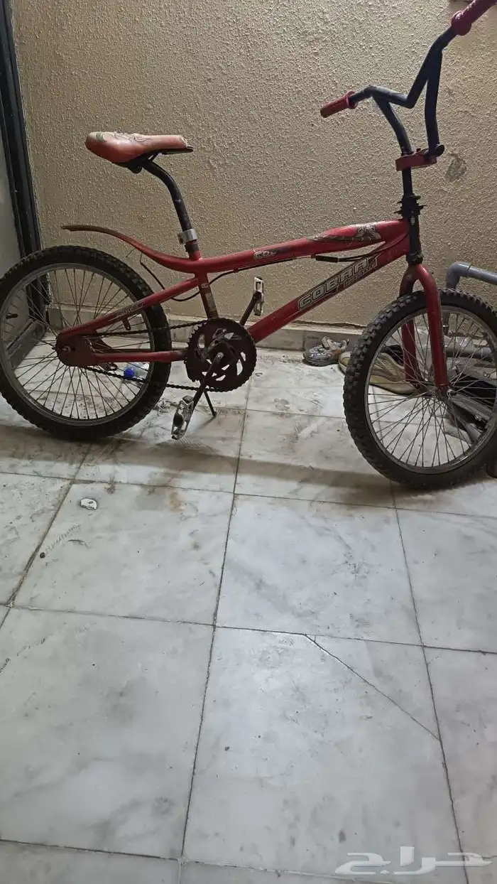 سيكل كوبرا 3