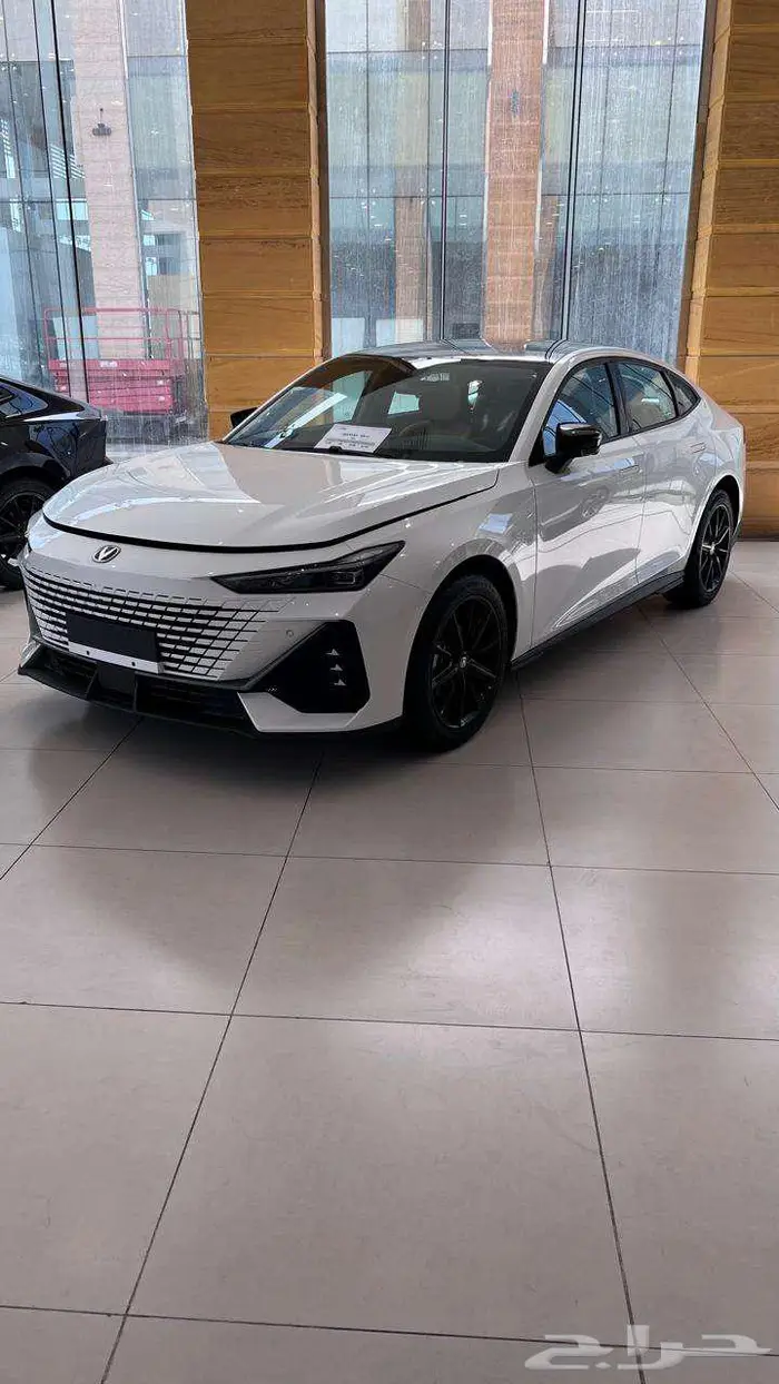 شانجان يوني في اليت اقل سعر في السوق 82700 3