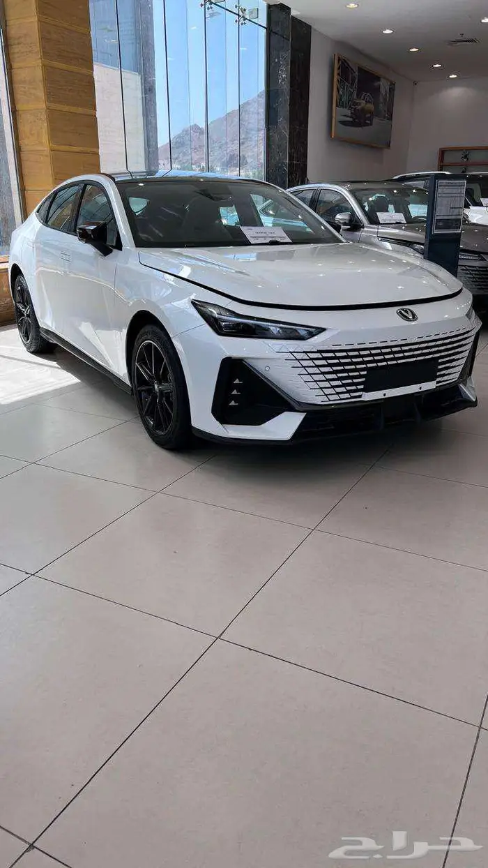 شانجان يوني في اليت اقل سعر في السوق 82700 6