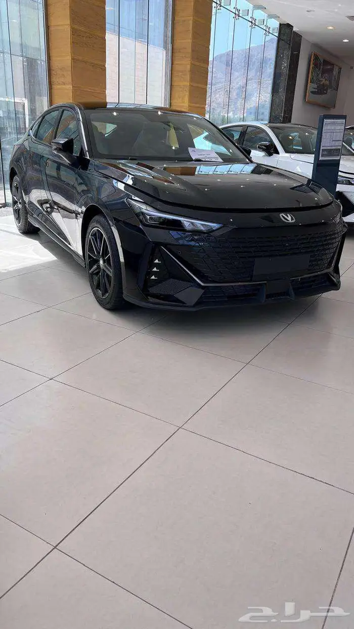 شانجان يوني في اليت اقل سعر في السوق 82700 7