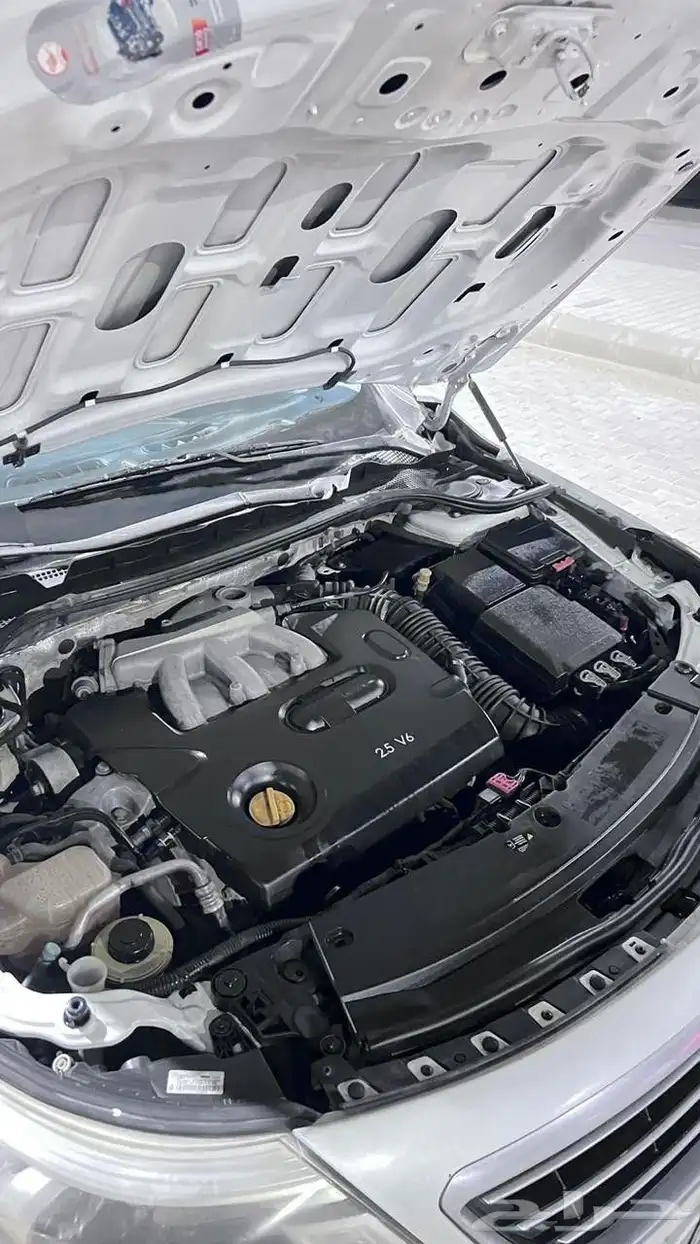 رينو سافران الموديل 2014 14