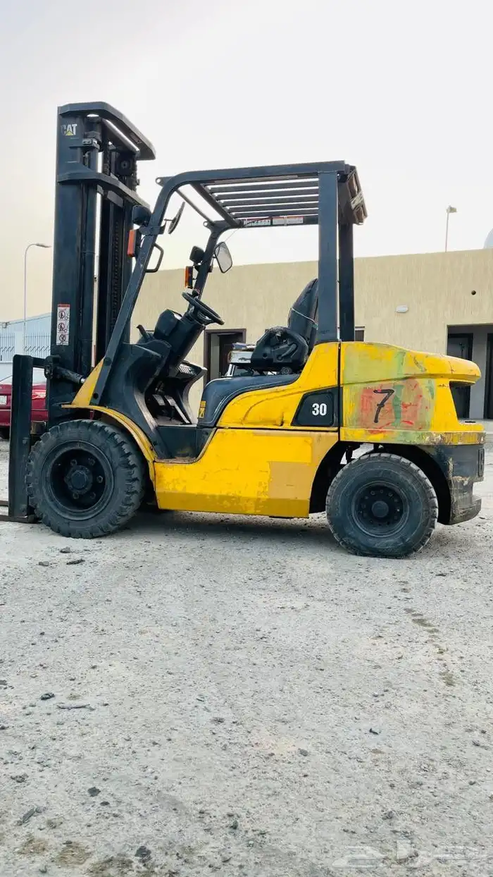 سطحه سله ورافعات شوكيه 6