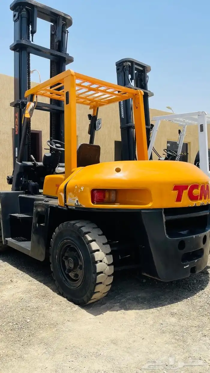 سطحه سله ورافعات شوكيه 4