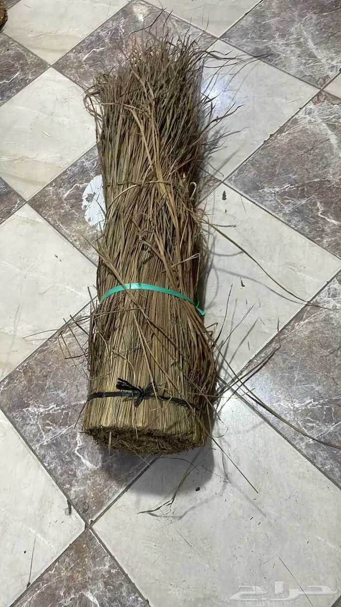 خيزران قش لافريقي 3